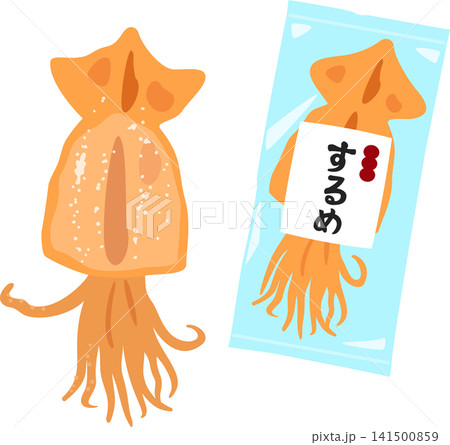 スルメのデフォルメイラスト 141500859