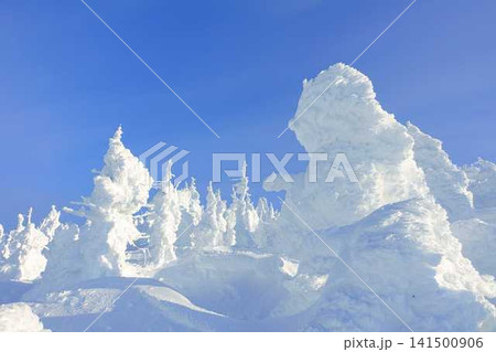 樹氷　霧氷　蔵王 141500906