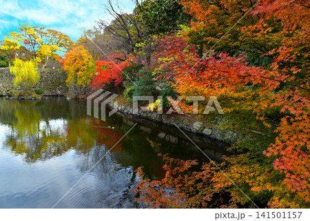 和歌山城 秋の西の丸庭園 和歌山城 秋の西の丸庭園 141501157