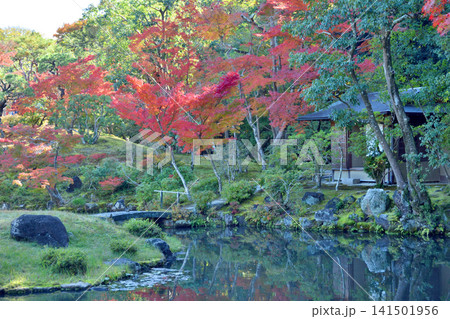 吉城園の紅葉 141501956