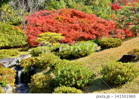 吉城園の紅葉 吉城園の紅葉 141501960