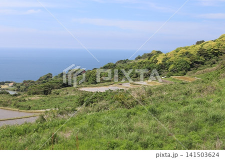 油谷東後畑の棚田 油谷東後畑の棚田 141503624