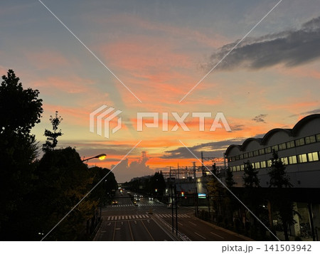 東京・高島平 夕焼けに染まる高島通り 東京・高島平 夕焼けに染まる高島通り 141503942