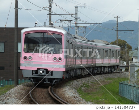 伊豆箱根鉄道5000系5506編成「春めき電車」(塚原~和田河原間にて撮影) 伊豆箱根鉄道5000系5506編成「春めき電車」(塚原~和田河原間にて撮影) 141504737