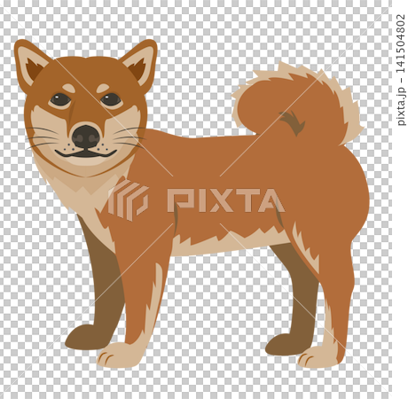 Animal Shiba Inu Animal Shiba Inu 141504802