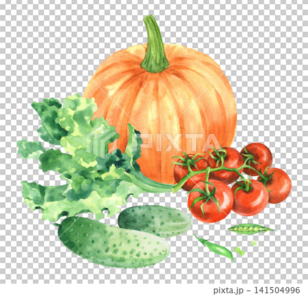 Pumpkin, tomatoes, cucumbers, peas and lattuce. Watercolor illustration. Handmade art work. For packaging design, cards, cover, prints, product labels and fabric. Pumpkin, tomatoes, cucumbers, peas and lattuce. Watercolor illustration. Handmade art work. For packaging design, cards, cover, prints, product labels and fabric. 141504996