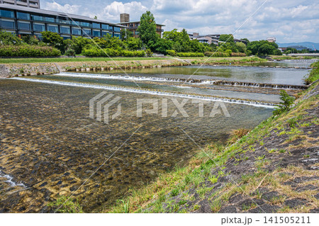 夏の鴨川風景 京都市 夏の鴨川風景 京都市 141505211