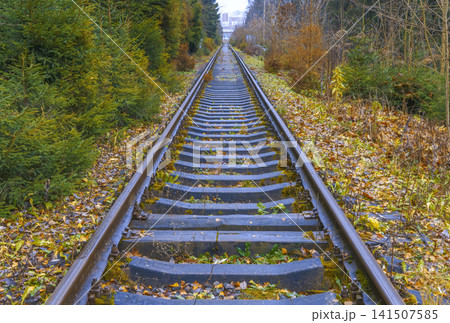 Distant rails with mossy sleepers. Muted scene of railway tracks with moss and autumn foliage Distant rails with mossy sleepers. Muted scene of railway tracks with moss and autumn foliage 141507585