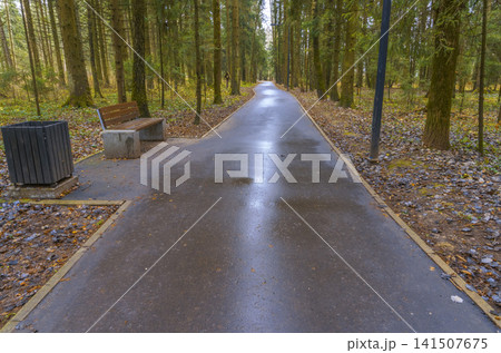 Urban pathway with autumn ambiance. Wet park walkway showcasing maintenance and seasonal background Urban pathway with autumn ambiance. Wet park walkway showcasing maintenance and seasonal background 141507675