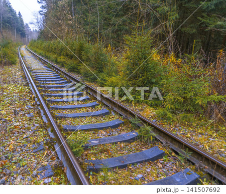Vivid depiction of slanted railway passing through vibrant forest with scattered bushes and mosscovered edges Vivid depiction of slanted railway passing through vibrant forest with scattered bushes and mosscovered edges 141507692