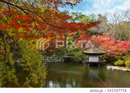 和歌山城 鳶魚閣 和歌山城 鳶魚閣 141507758