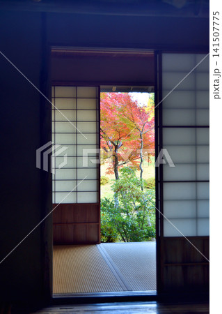 吉城園の寄付きと紅葉 吉城園の寄付きと紅葉 141507775