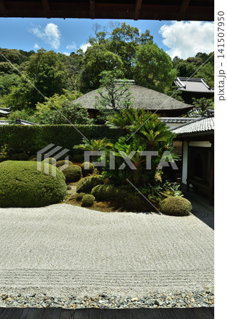 酬恩庵一休寺 快晴の方丈南庭(京都府京田辺市) 酬恩庵一休寺 快晴の方丈南庭(京都府京田辺市) 141507950
