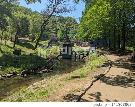 トーベ・ヤンソンあけぼの子どもの森公園の新緑の風景 141508868