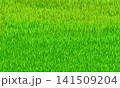Blurred abstract background in green tones 141509204