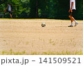 サッカーをする少年 141509521