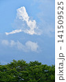 夏の青空と白い雲 141509525