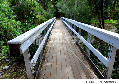 Foot Bridge 141509695