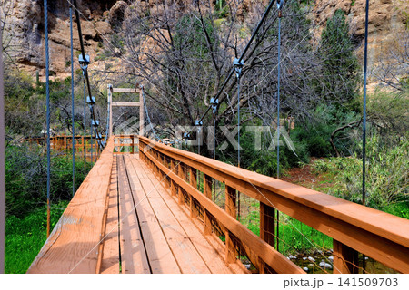 Foot Bridge Foot Bridge 141509703