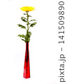 A ripe flower in a red bottle on a white background 141509890