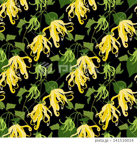Seamless pattern with ylang-ylang branches. Vector pattern of tropical flowers in flat style for packaging. Cananga odorata flowers, used to produce essential oils, perfumes, and cosmetics. Seamless pattern with ylang-ylang branches. Vector pattern of tropical flowers in flat style for packaging. Cananga odorata flowers, used to produce essential oils, perfumes, and cosmetics. 141510014