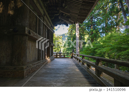 福井 明通寺 国宝三重塔の回廊 福井 明通寺 国宝三重塔の回廊 141510096
