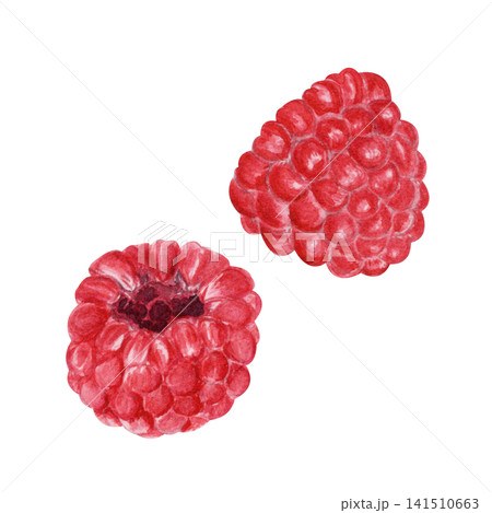 Watercolor set of two fresh raspberries isolated on white. Hand painted berry illustration for food packaging, recipe cards, menus, labels, branding, kitchen decor and healthy eating designs Watercolor set of two fresh raspberries isolated on white. Hand painted berry illustration for food packaging, recipe cards, menus, labels, branding, kitchen decor and healthy eating designs 141510663