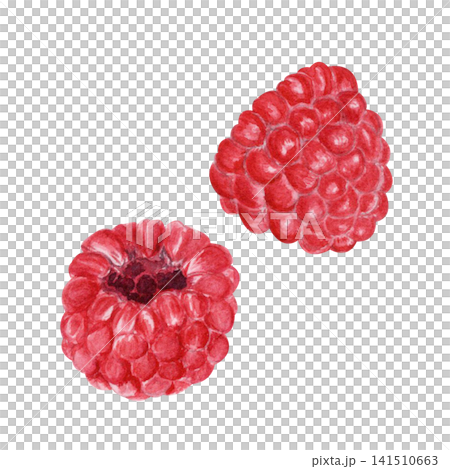 Watercolor set of two fresh raspberries isolated on white. Hand painted berry illustration for food packaging, recipe cards, menus, labels, branding, kitchen decor and healthy eating designs Watercolor set of two fresh raspberries isolated on white. Hand painted berry illustration for food packaging, recipe cards, menus, labels, branding, kitchen decor and healthy eating designs 141510663