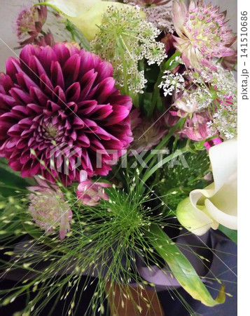 色鮮やかな花のアレンジメント Dahlia Bouquet 色鮮やかな花のアレンジメント Dahlia Bouquet 141510686