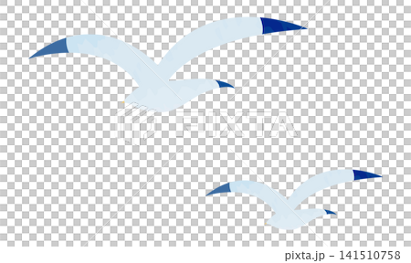 澄み切った青空を自由に羽ばたく手書き風のカモメのベクターイラスト 澄み切った青空を自由に羽ばたく手書き風のカモメのベクターイラスト 141510758