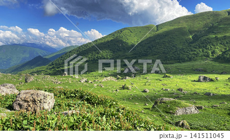 Green mountain slopes rise above a rocky Caucasus meadow near Roshka, Georgia, presenting an unspoiled highland ecosystem 141511045