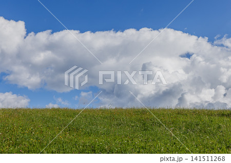 Green Alpine Meadow Horizon Under Blue Sky and Large White Cumulus Cloud Green Alpine Meadow Horizon Under Blue Sky and Large White Cumulus Cloud 141511268