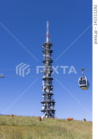Telecommunications Tower, Gondola Cabin, and Cattle on Mountain Pasture 141511292