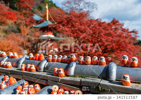 Daruma dolls on fence by red leaf garden of Katsuo-ji pagoda, Osaka Daruma dolls on fence by red leaf garden of Katsuo-ji pagoda, Osaka 141511587