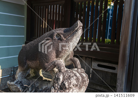 Stone boar guardian statue at Zenkyo-an Temple in Kyoto 141511609
