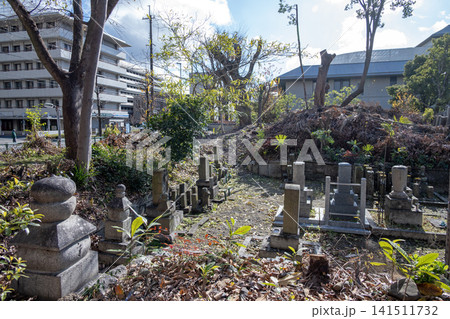 京都 廬山寺に残る聚楽第跡の土塁 京都 廬山寺に残る聚楽第跡の土塁 141511732