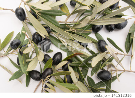 Fresh olive tree branches with black fruits on white background Fresh olive tree branches with black fruits on white background 141512316