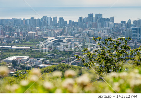 Panoramic urban skyline with coastal horizon seen from hilltop point. Panoramic urban skyline with coastal horizon seen from hilltop point. 141512744