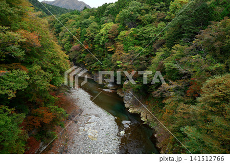 日光国立公園 鬼怒川の渓谷美と色づく木々 秋の風景 日光国立公園 鬼怒川の渓谷美と色づく木々 秋の風景 141512766