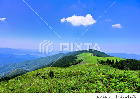 和歌山県紀美野町の生石ヶ峰の生石高原 和歌山県紀美野町の生石ヶ峰の生石高原 141514279