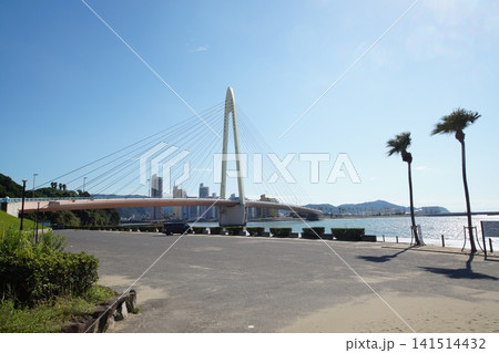 和歌山浜の宮ビーチ 和歌山浜の宮ビーチ 141514432