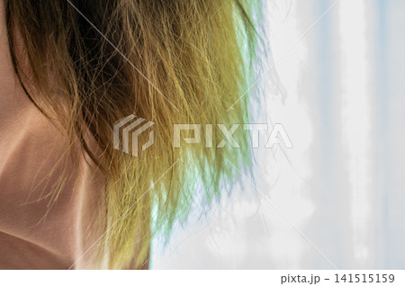 Cropped shot view of Asian women's with damaged split ended hair. Hair damage is risk for further damage and breakage. It may also look dull or frizzy and be difficult to manage. Cropped shot view of Asian women's with damaged split ended hair. Hair damage is risk for further damage and breakage. It may also look dull or frizzy and be difficult to manage. 141515159