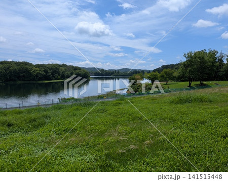 夏空と緑の森に囲まれた穏やかな湖畔の風景素材 夏空と緑の森に囲まれた穏やかな湖畔の風景素材 141515448