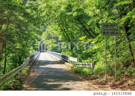 新緑が美しい大見ヶ沢大橋の風景(宮城県七ヶ宿町) 新緑が美しい大見ヶ沢大橋の風景(宮城県七ヶ宿町) 141515698