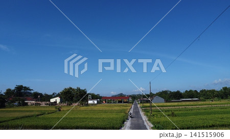 Serene Country Road Leading to a Village Under a Clear Blue Sky Serene Country Road Leading to a Village Under a Clear Blue Sky 141515906
