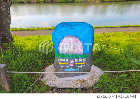 April 28 2026 Hitome Senbon Zakura riverside marker with cherry blossom direction sign April 28 2026 Hitome Senbon Zakura riverside marker with cherry blossom direction sign 141516441