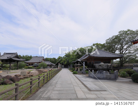 四国霊場第八十四番札所 屋島寺 東大門を入った所から境内を見る 141516707