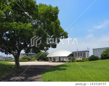 市原市ちはら台公園 市原市ちはら台公園 141516737