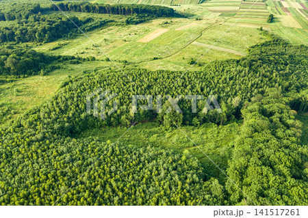 Top down aerial view of green summer forest with large area of cut down trees as result of global deforestation industry. Harmful human influence on world ecology. Top down aerial view of green summer forest with large area of cut down trees as result of global deforestation industry. Harmful human influence on world ecology. 141517261