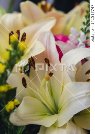 White Lilies and Pink Flowers in Vibrant Floral Bouquet Close Up White Lilies and Pink Flowers in Vibrant Floral Bouquet Close Up 141517747